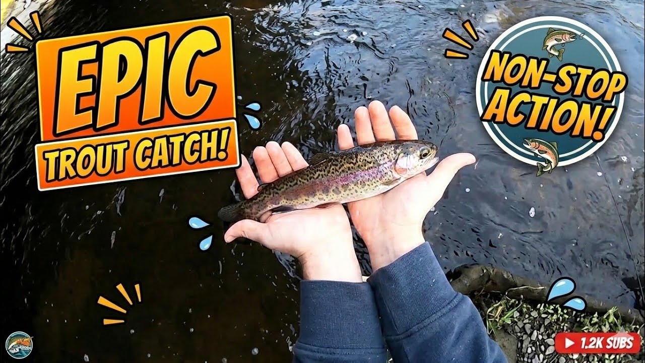 Insane Early Spring Trout Fishing!