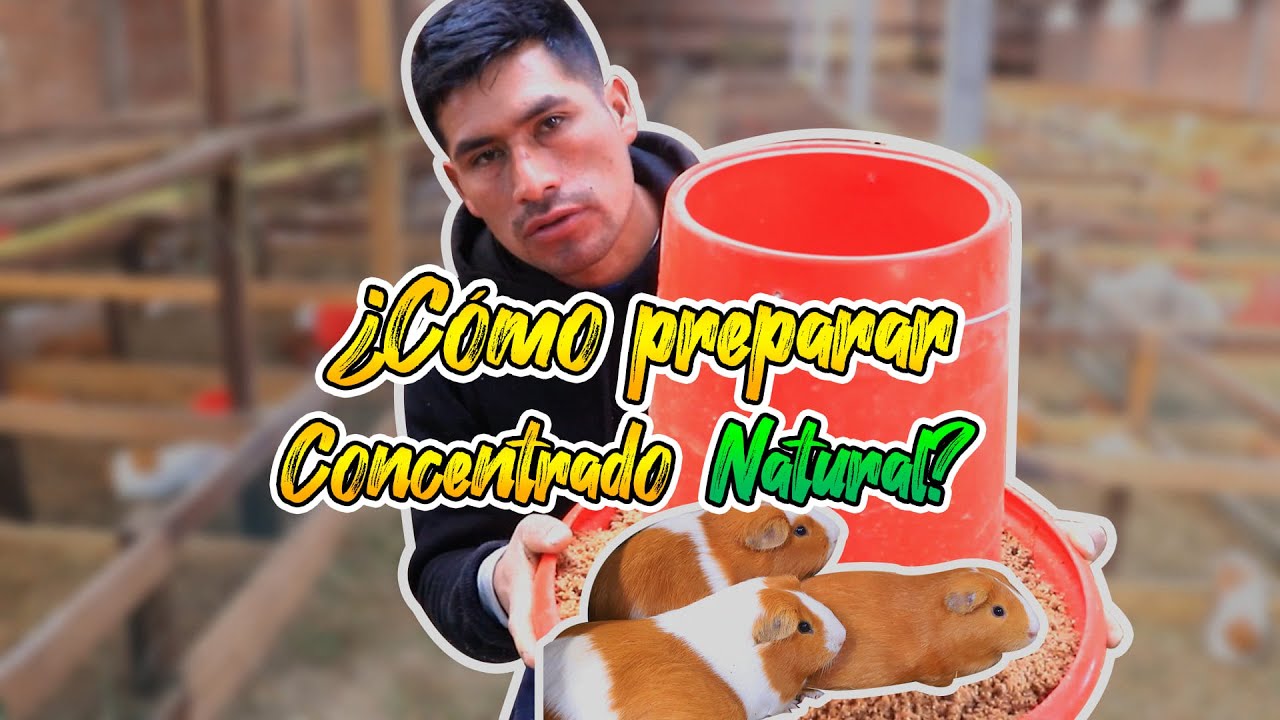 ¿Cómo preparar concentrado NATURAL?