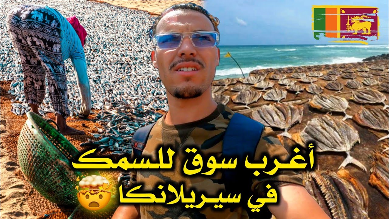 ذهـبت لأغرب سـوق في سيريلانكا • يجفـفون فـيه السمك فوق الـرمل ويأكلـونه 🇱🇰🐟