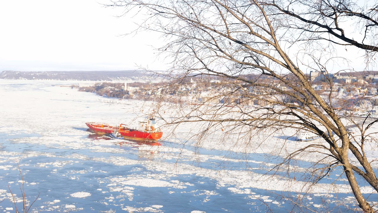 【Solo Trip】Mont Tremblant + Quebec City: 圣诞节就是要去全是雪的地方 | Christmas is all about snow