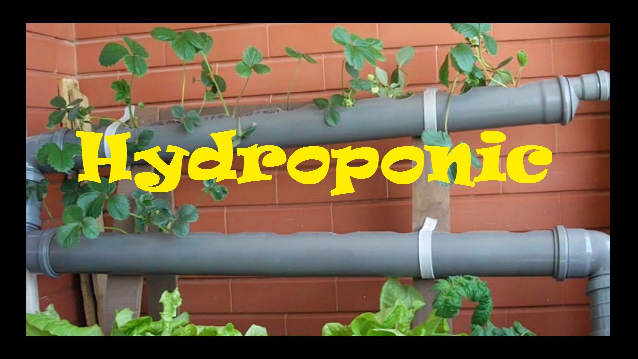 Hydroponics - Homemade Hydroponic NFT System