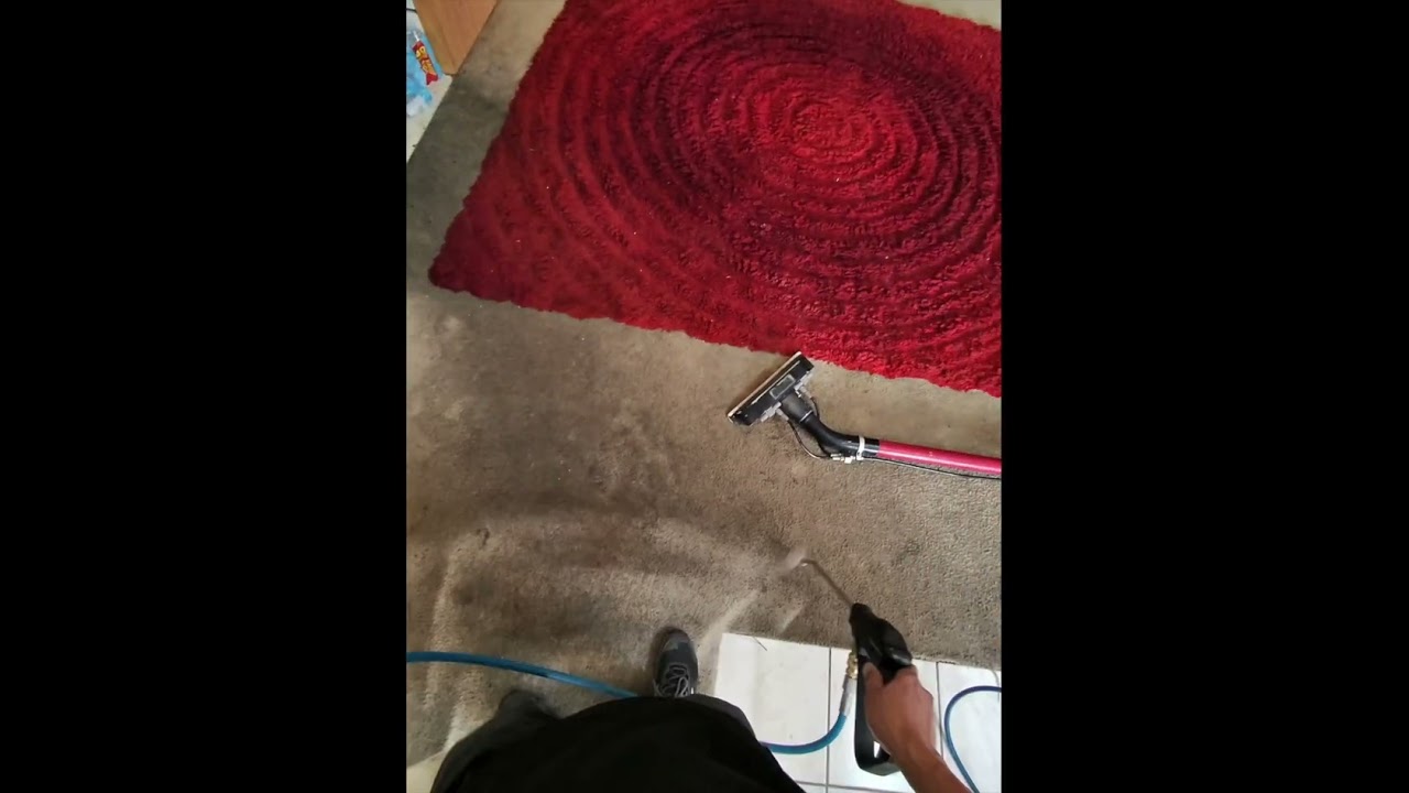 Las Vegas nv 🚚 #deepcarpetcleaning 🧽#7025822985 another happy customer👏🏻#callusnow ☎️