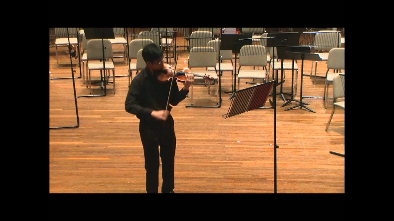 YouTube Symphony Orchestra 2011 Audition - Violin (Mark Hui)