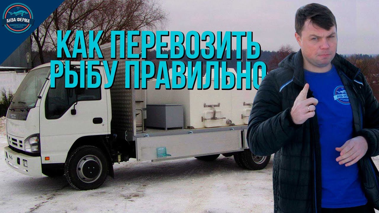 Как правильно перевозить рыбу