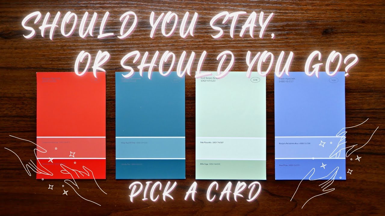 Should You Stay Or Should You Go? 🐛 Pick A Card 🦋 Timeless Tarot Reading