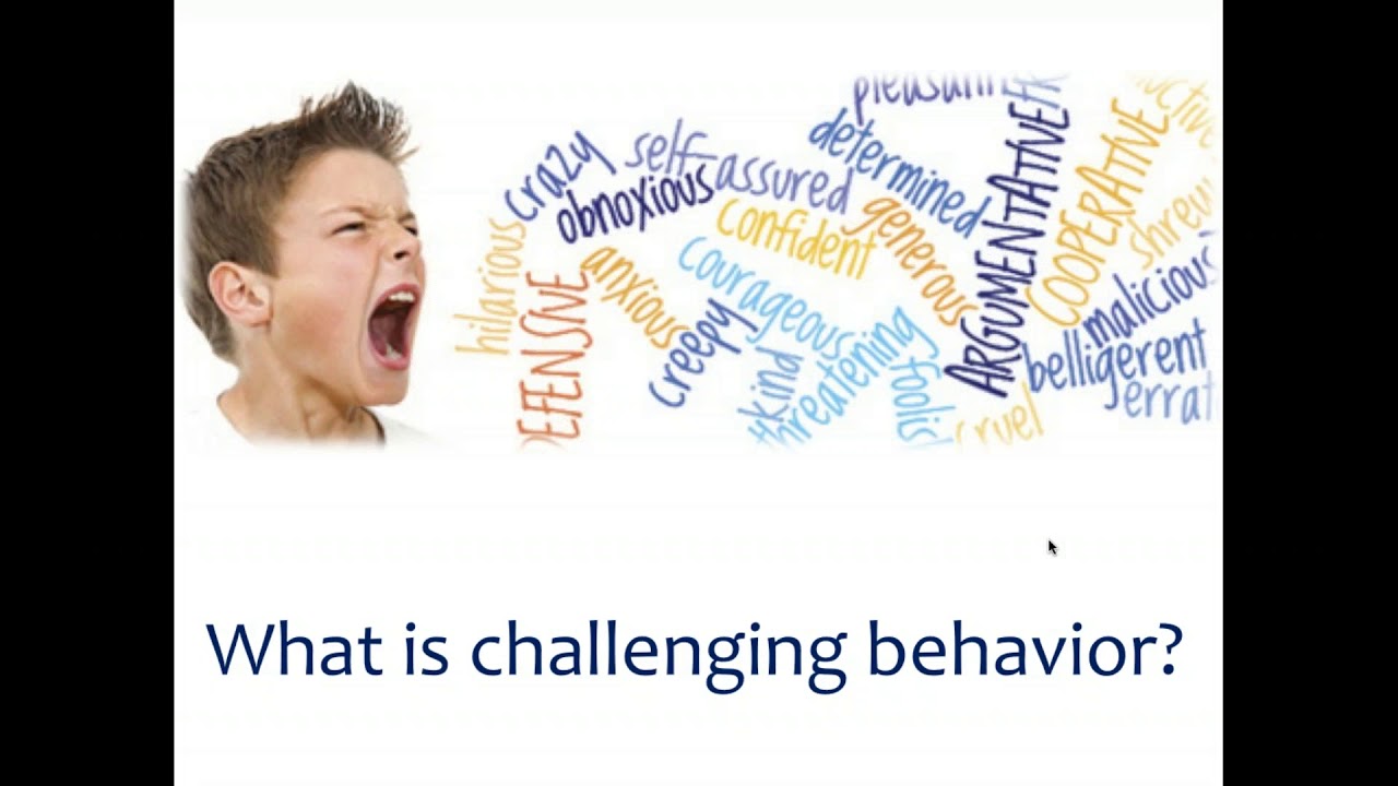 Understanding Challenging Behaviors in Young Children - Part 1