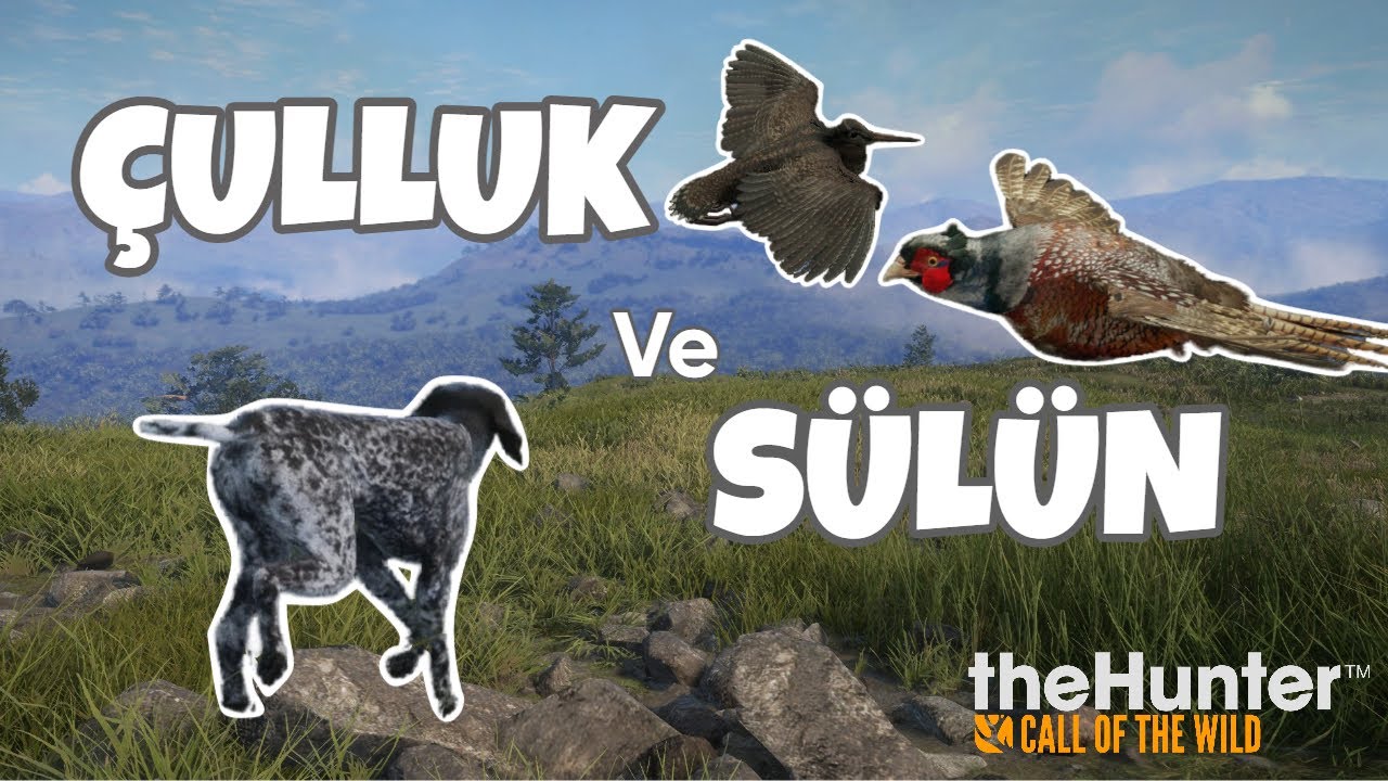 Pointer ile Çulluk ve Sülün Avı | theHunter: Call of the Wild