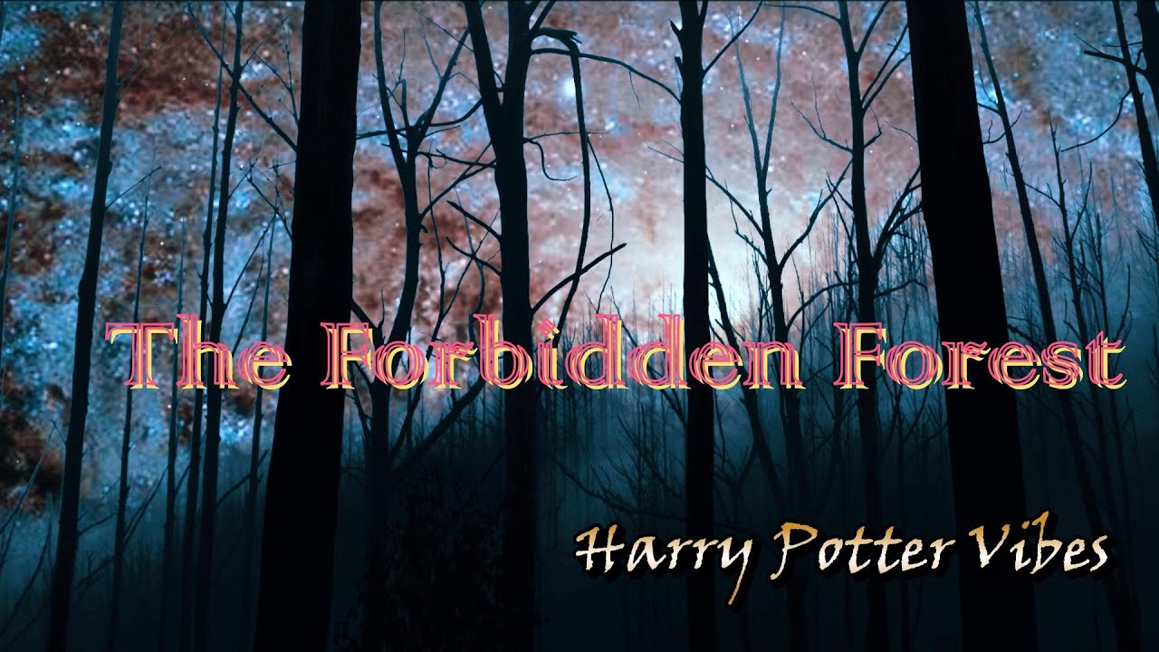 The Forbidden Forest - Harry Potter Vibes | Dreamy Background with Uplifting Music