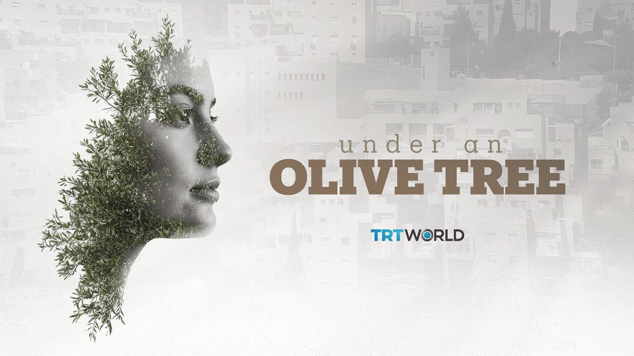 TRT World's Special Documentary | Under an Olive Tree