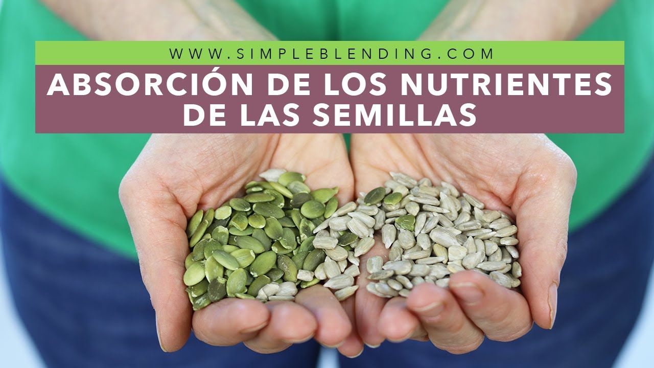 ABSORCIÓN DE LOS NUTRIENTES DE LAS SEMILLAS | Cómo absorber los nutrientes de las semillas