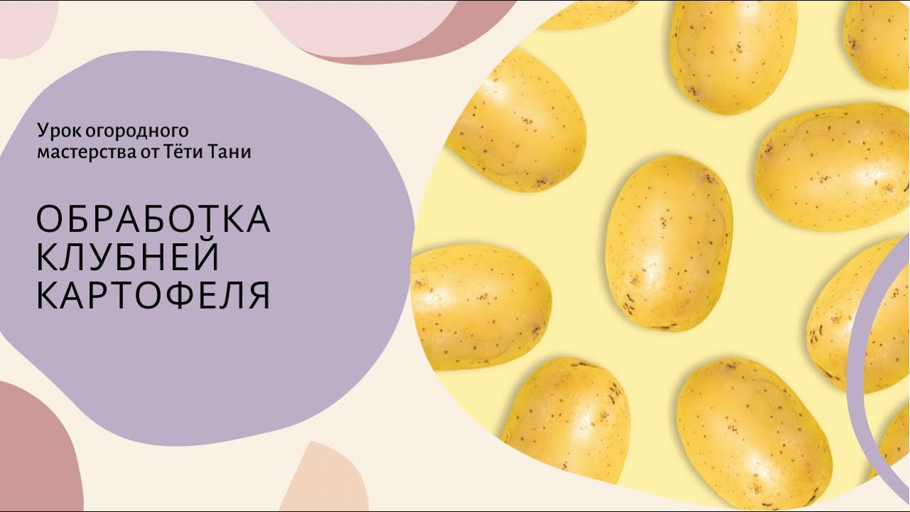 466. А кто враги картофеля? А кто все портит? Да мы...кто ж ещё...