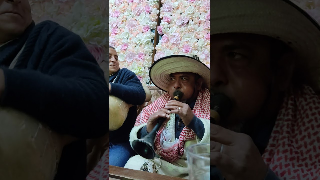 ربوخ جربي .. صليو على محمد .. يا بنات المعمل يا للة واشي .. عرس أفراح الجنوب