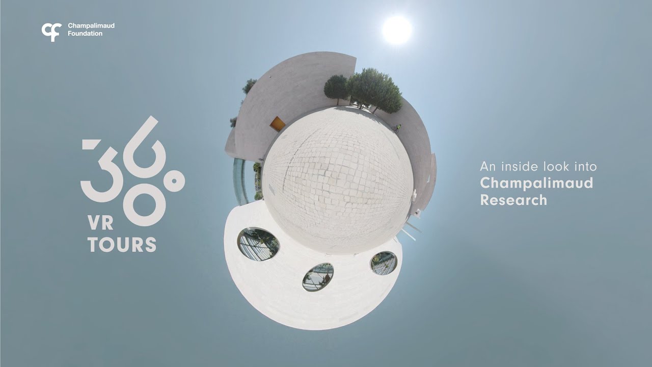 Visitas Virtuais 360º à Fundação Champalimaud - Um olhar para dentro do Champalimaud Research