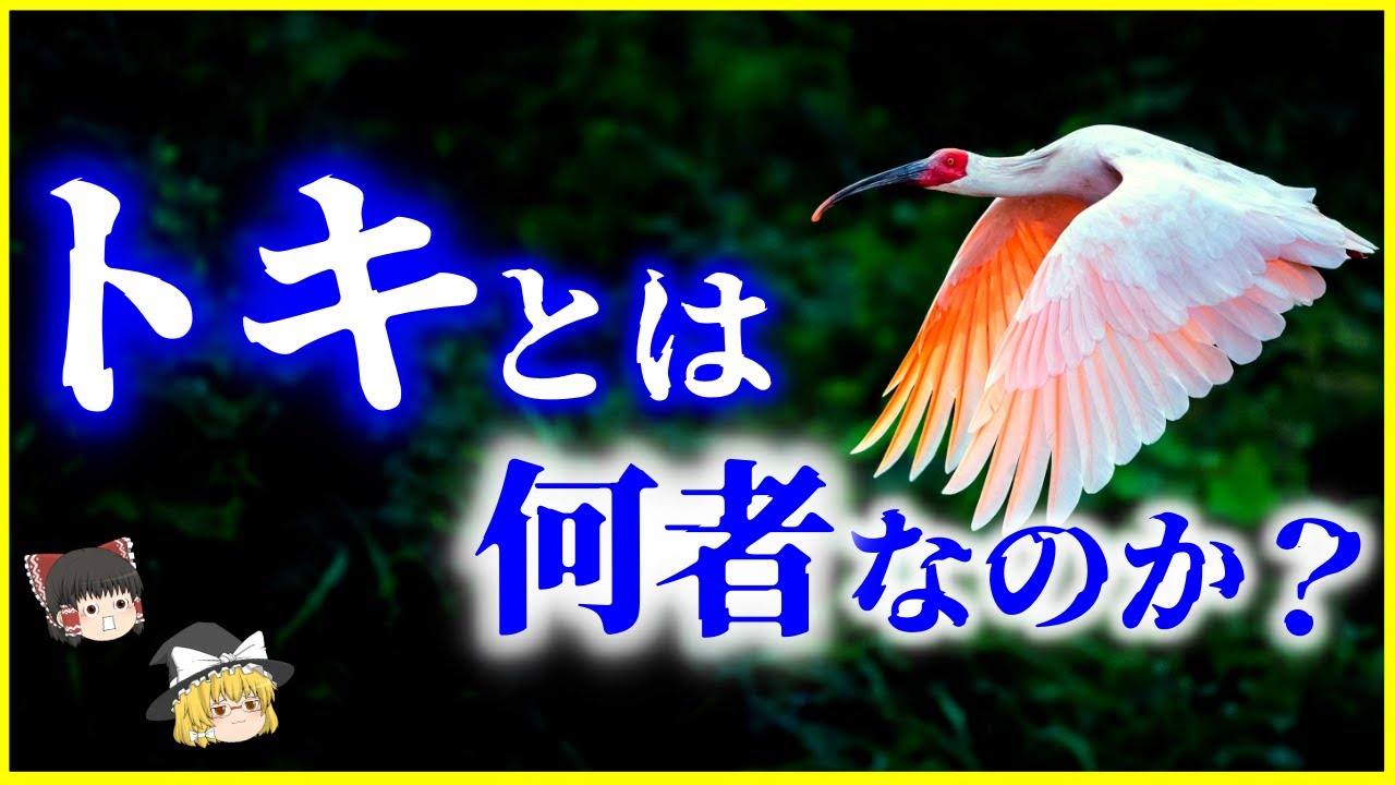 【ゆっくり解説】なぜ日本で絶滅した&hellip;？「トキ」とは何者なのか？を解説/国鳥と勘違いされる理由とは？絶滅の理由と野生復活への道