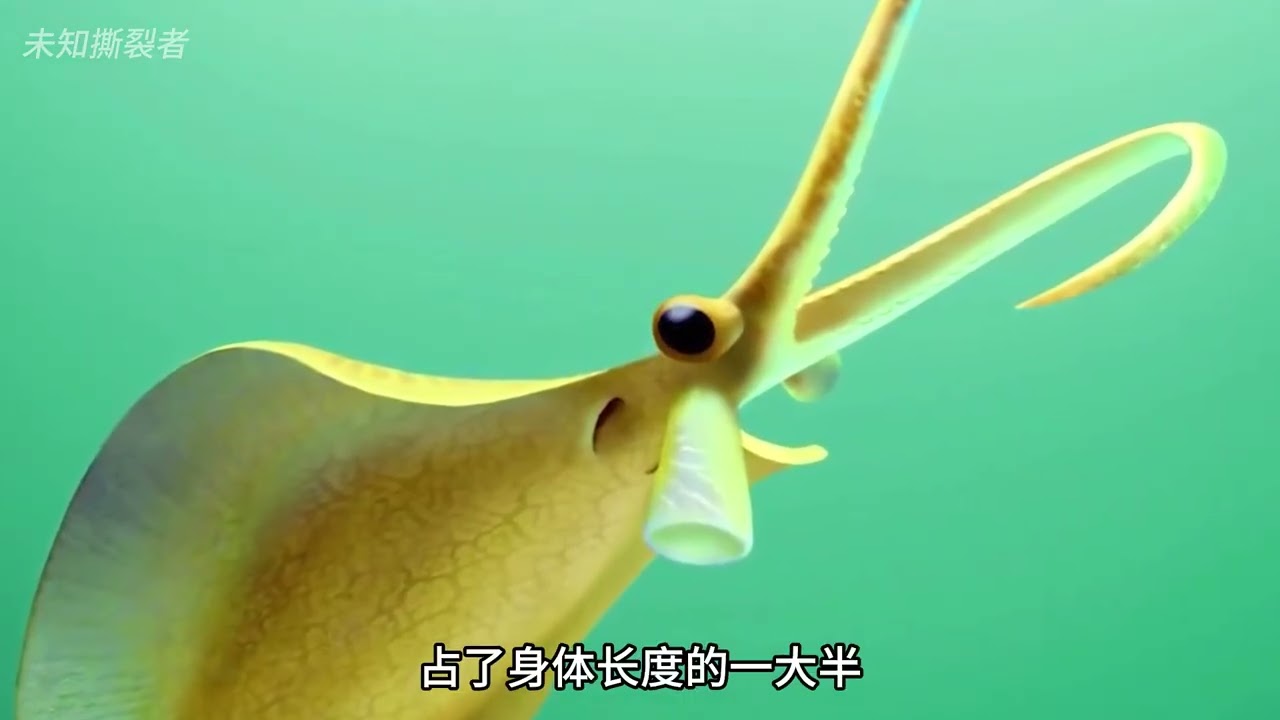 《內耶克蟲》——與塔利怪物、提丰怪物並稱古生物界的「三大妖孽」。
