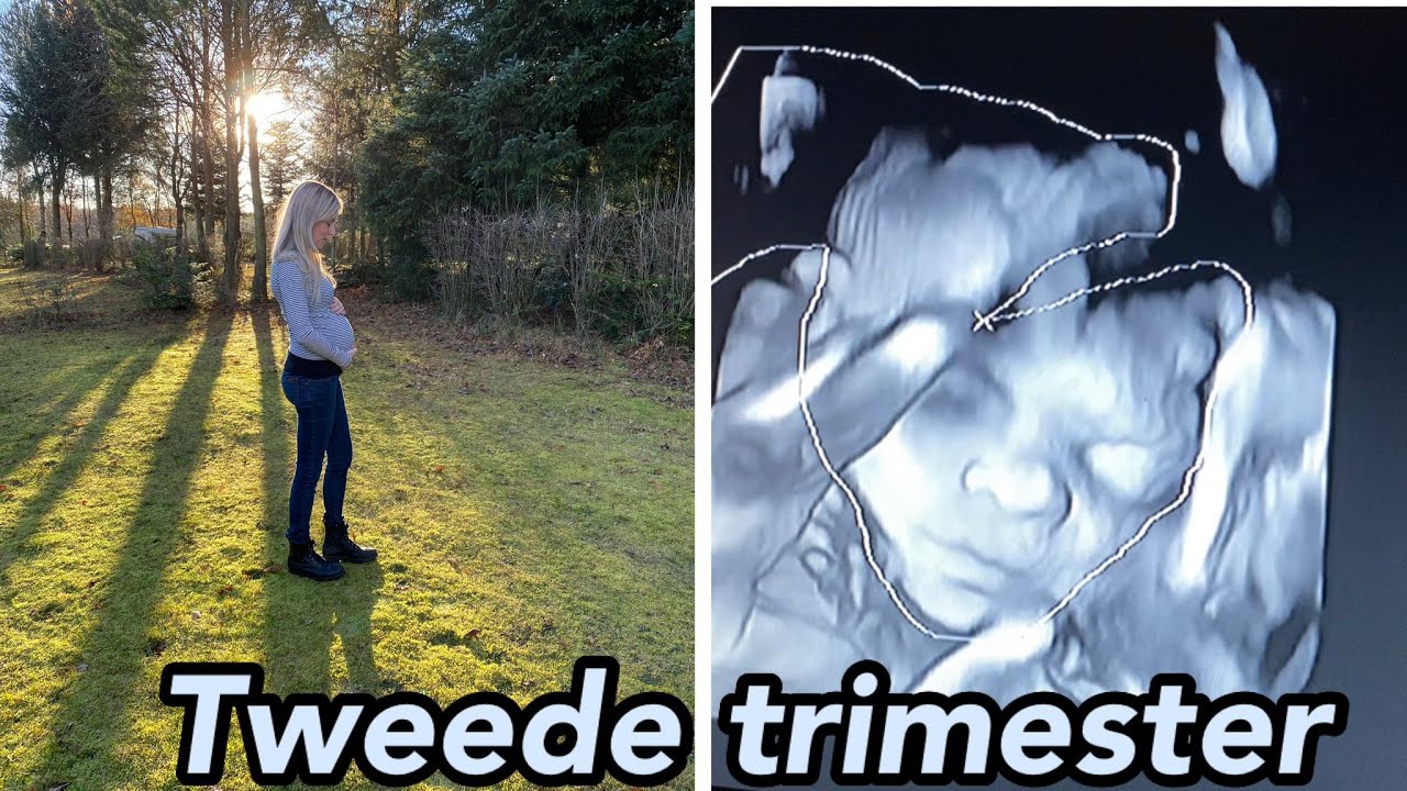 ZWANGERSCHAPSVLOG 2| TWEEDE TRIMESTER, 3D ECHO & GEZWEL IN BAARMOEDER