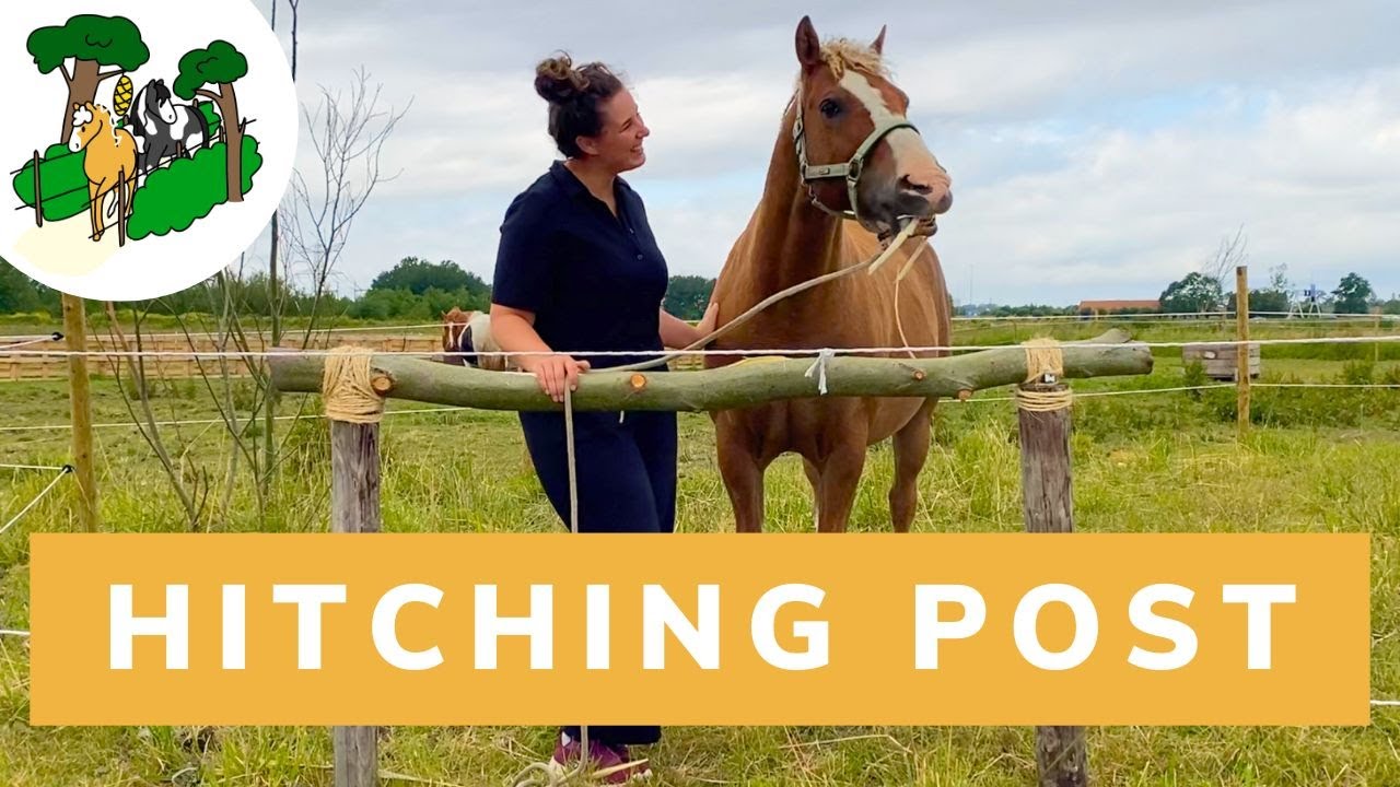 HOW TO build a HITCHING POST | Happy Horsemanship