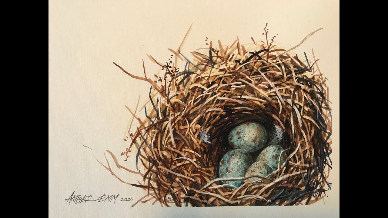 How to paint a Nest in watercolours with Amber Emm