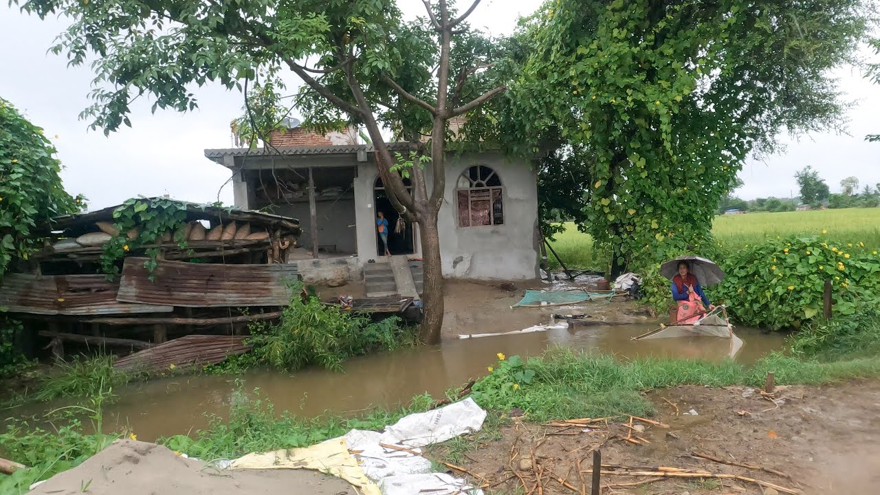 Village Life of Rural Terai Nepal || Village Walking Tour into Heavy Rain || IamSuman