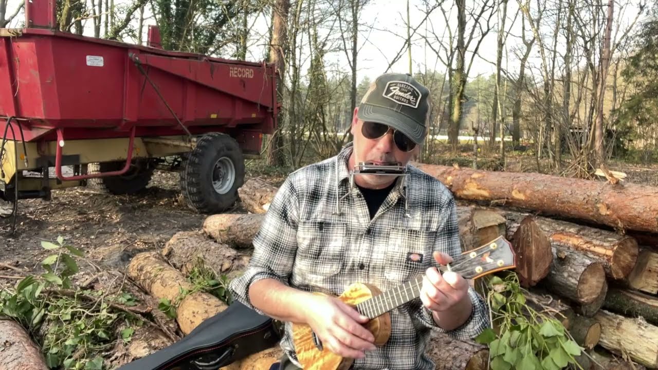 You Ain't Goin' Nowhere - Bob Dylan - The Rebel Creme brulee concert Ukulele cover
