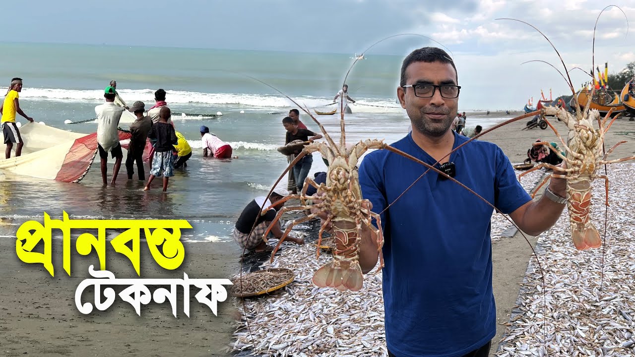 টেকনাফ সৈকতে জেলেদের জালে ধরা পরছে লক্ষ টাকার সামুদ্রিক মাছ | Fishermen Life in Teknuf