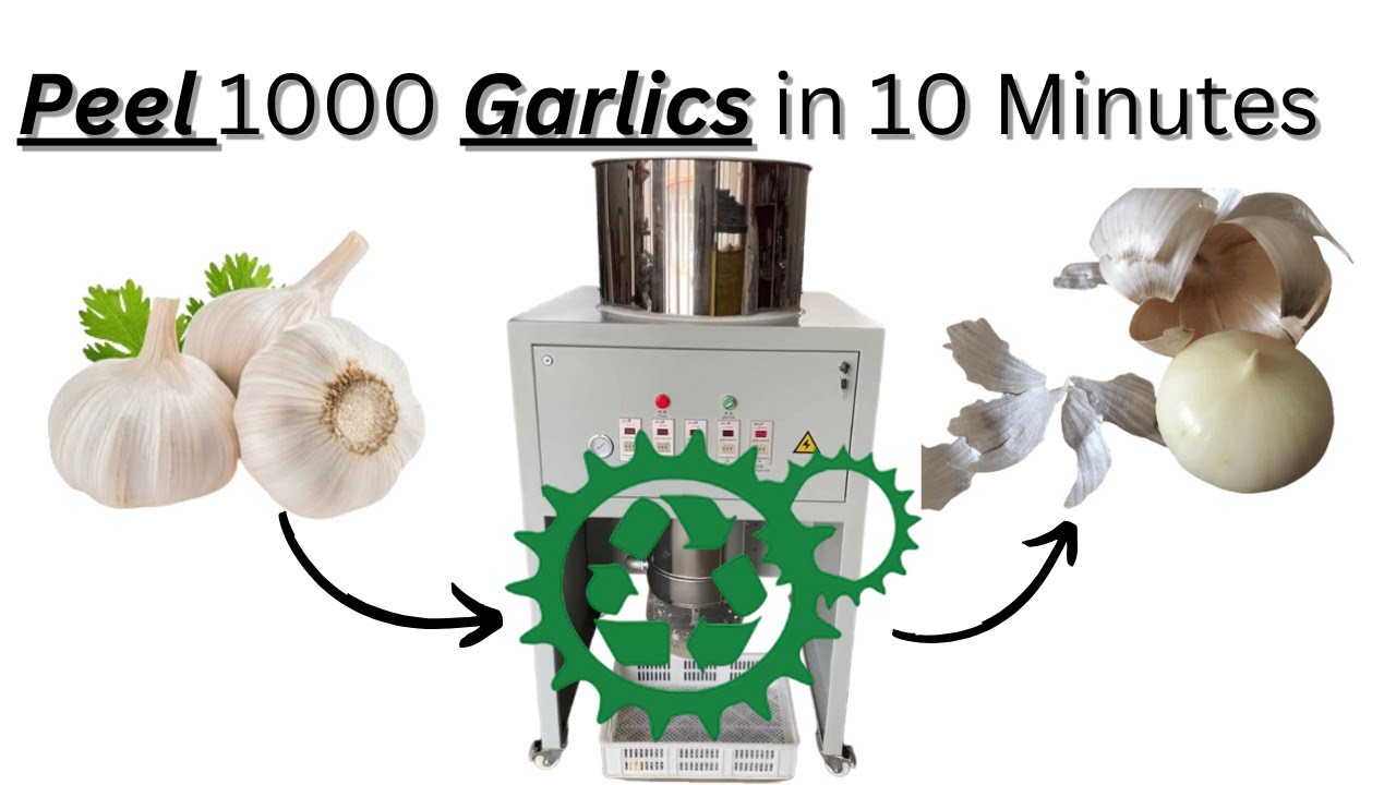 Garlic Peeler Machine | Electric Garlic Peeler with Conveyor Belt | Small Size | Restaurant Hotel