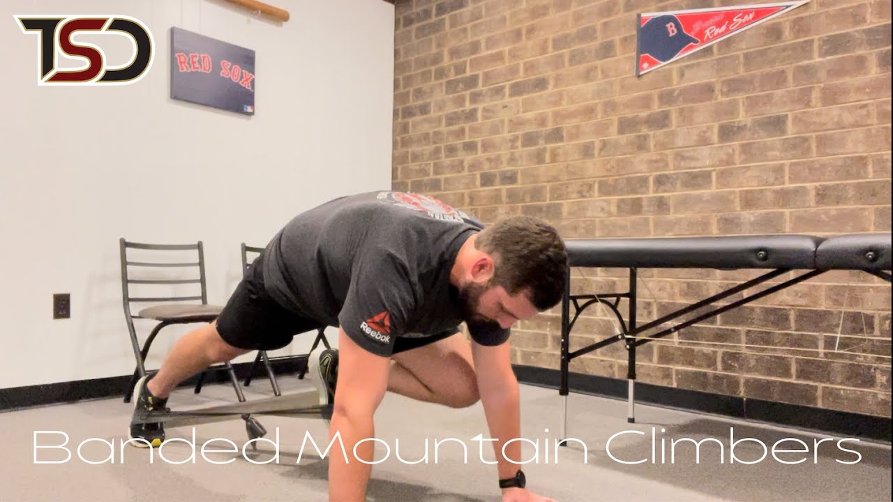 Banded Mountain Climbers