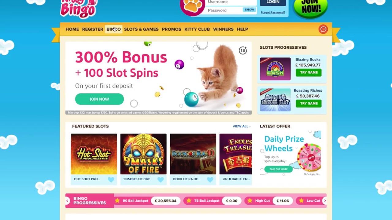 Kitty Bingo Review