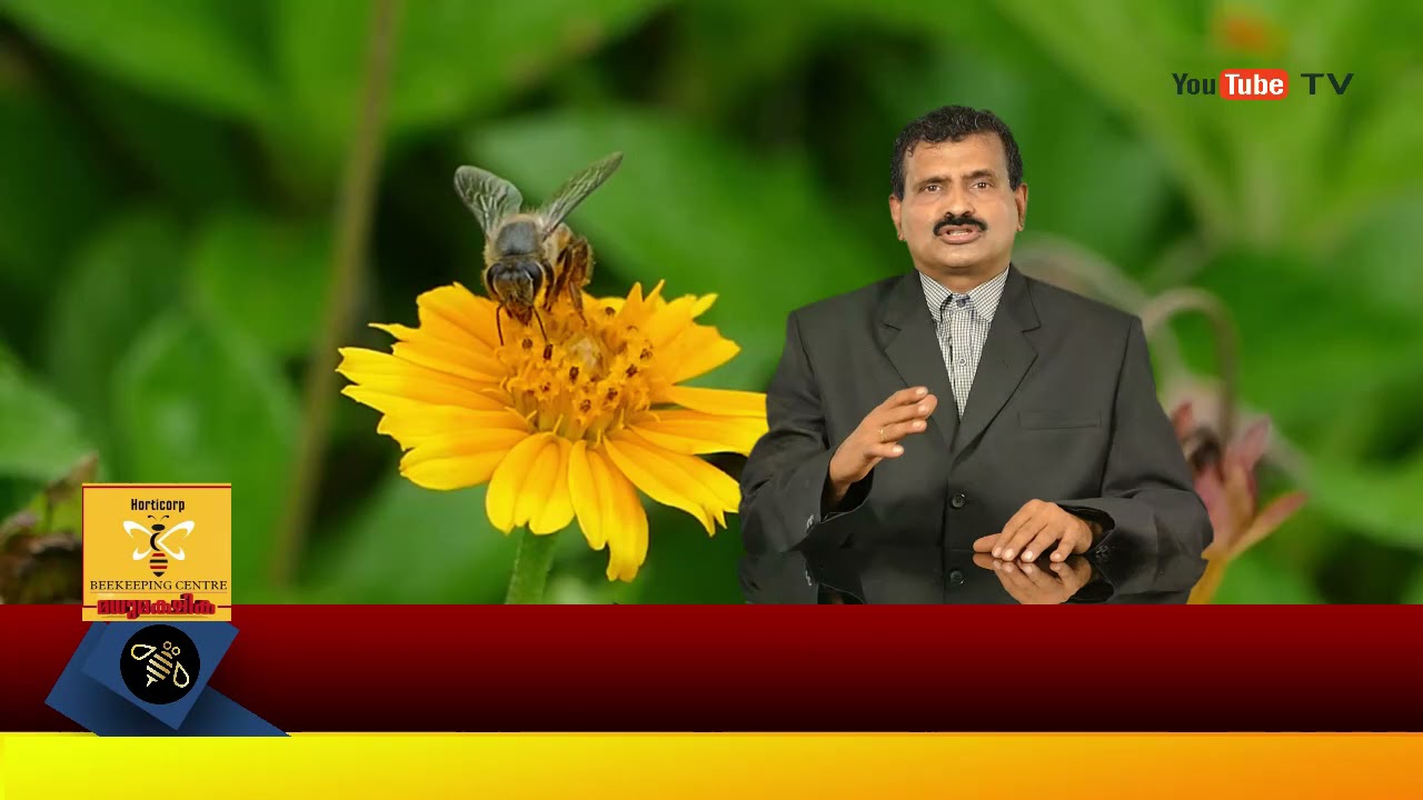 Importance of bee pollen by Sunil B ,Regional Manager(Apiculture) Horticorp