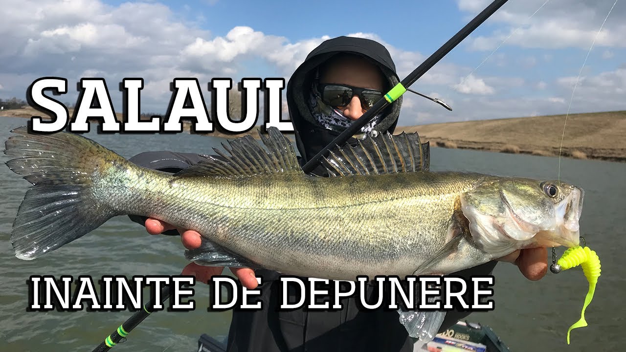 SALAU pe SARULESTI. Spinning inainte de depunere, ce cum, cand...