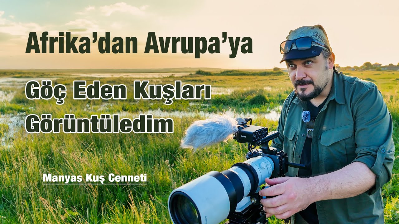 Muhteşem Bahar Manzarası Kuş Cenneti G&ouml;&ccedil; Eden Pelikanlar Sony FX3 Belgesel &Ccedil;ekimi