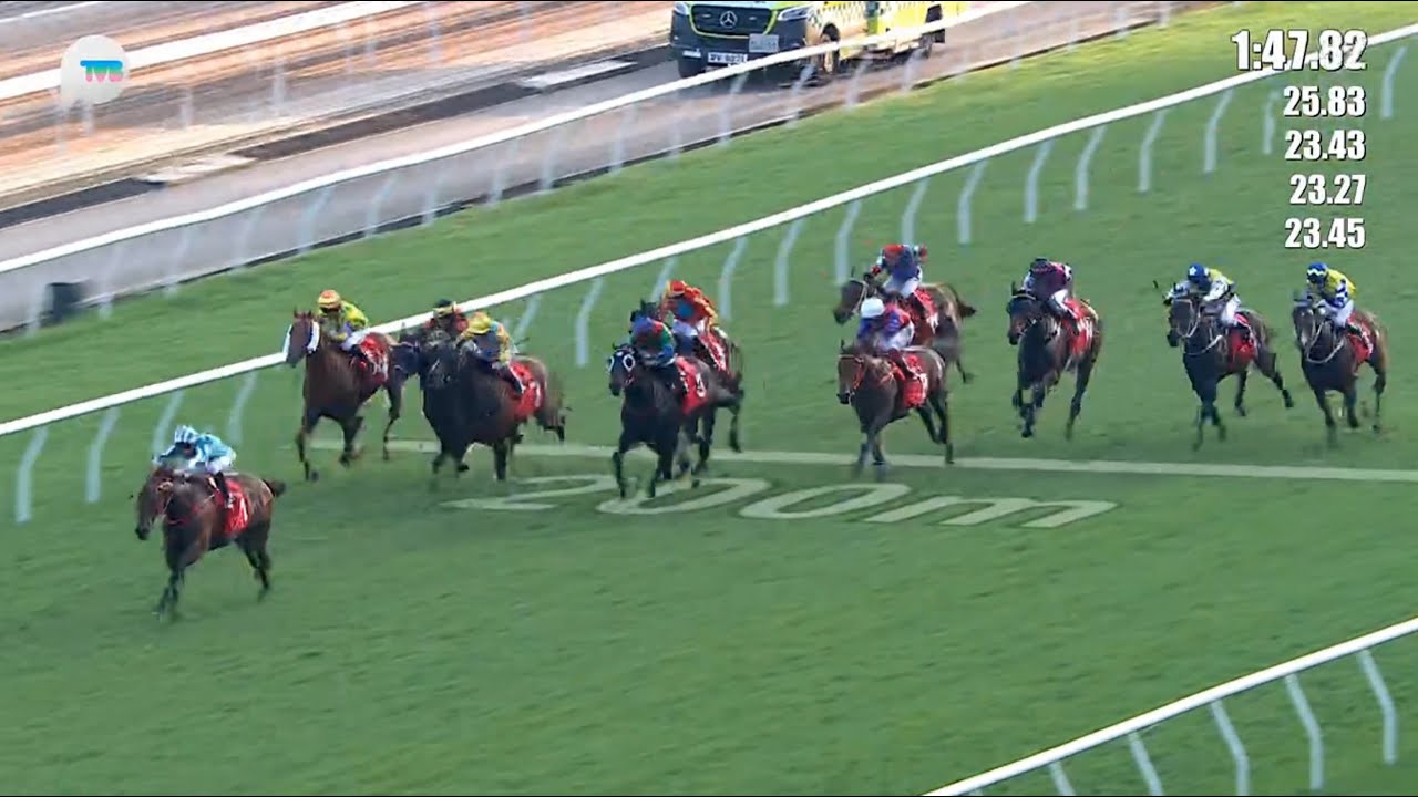 HKJC馬會盃 JOCKEY CLUB CUP 二級賽 G2 2000m 2024-11-17 浪漫勇士 ROMANTIC WARRIOR 沙田馬場 Shatin Racecourse