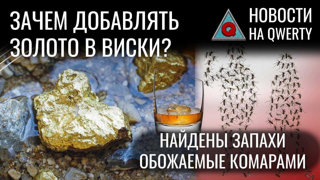 Человеческие нейроны в чужом мозге. Напряжённость Хаббла. Прожарка тараканов. Новости на QWERTY №233