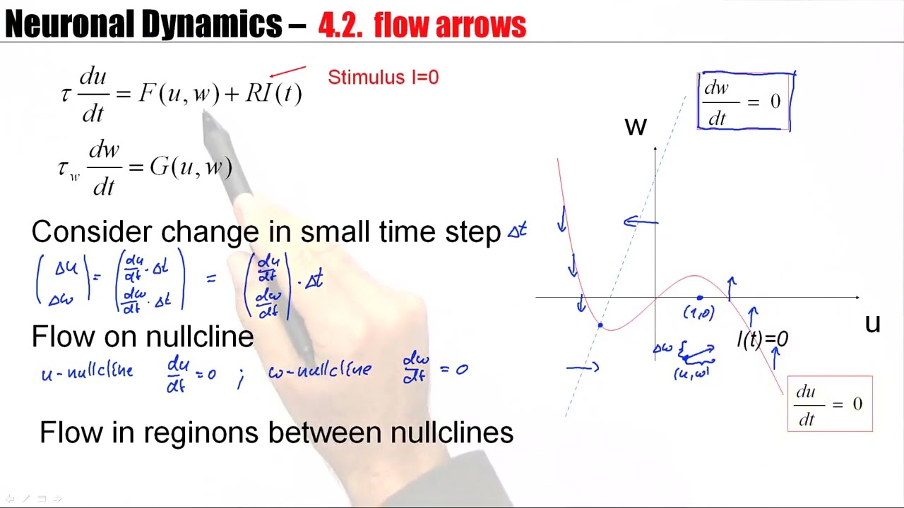 CNS4.2 - Phase Plane Analysis