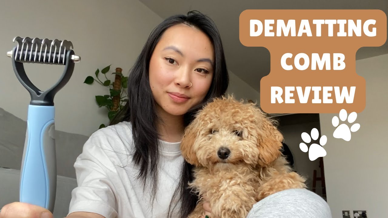 Dematting Dog Comb Review 🐶 | For Stubborn Knots and Serious Matting
