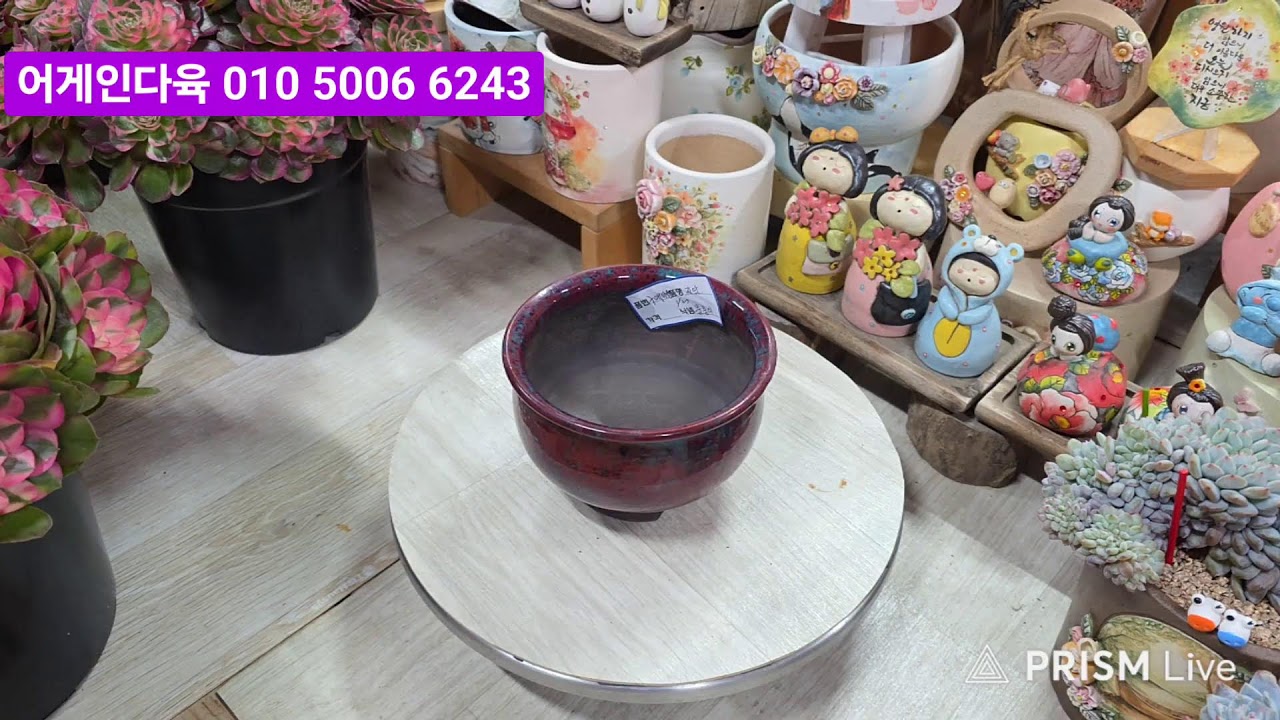 어게인다육 라이브)1월27일 9시 즐겁고 행복한  라이브