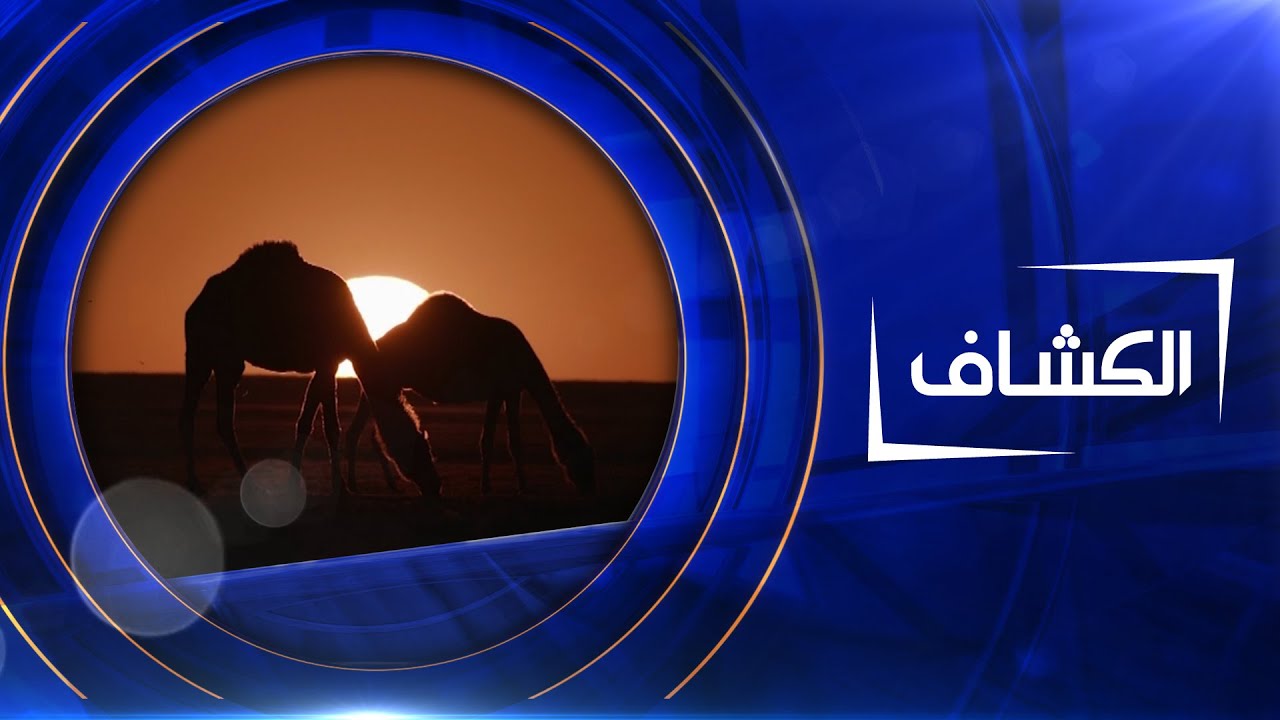 الكشاف  | رمال  و رجال