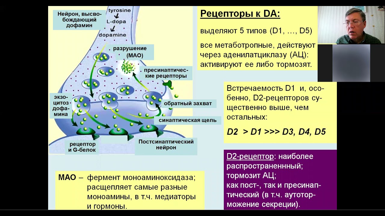 Вячеслав Дубынин лекция 8 РЭШ 2021