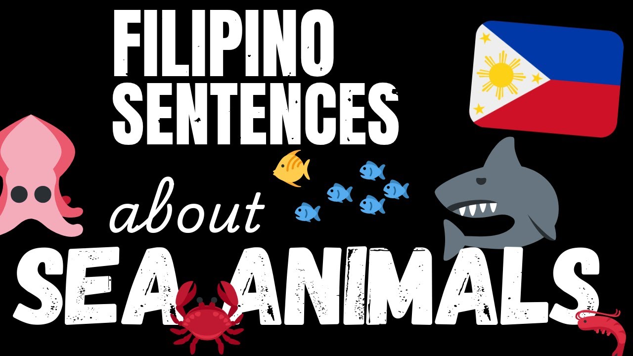 200 B1 Filipino sentences - Marine Animals | Learn Intermediate Filipino vocabulary