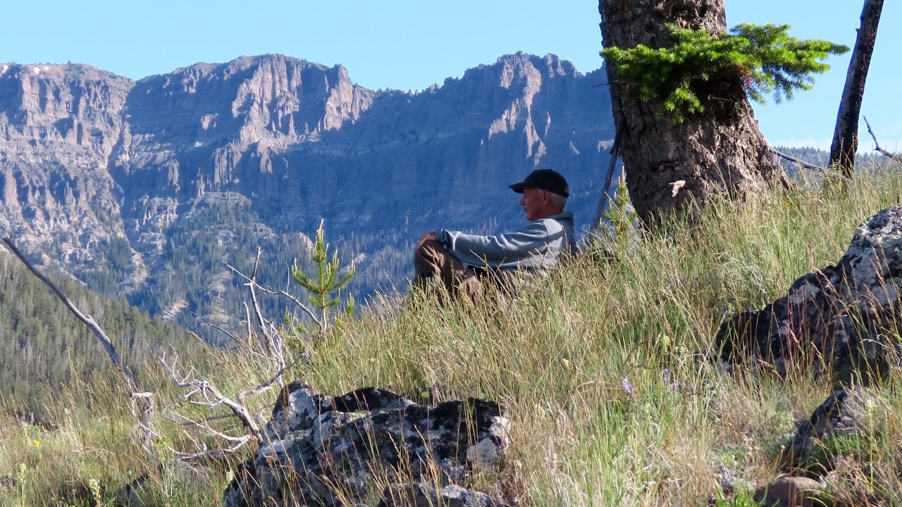 A Morning in Yellowstone's High Country