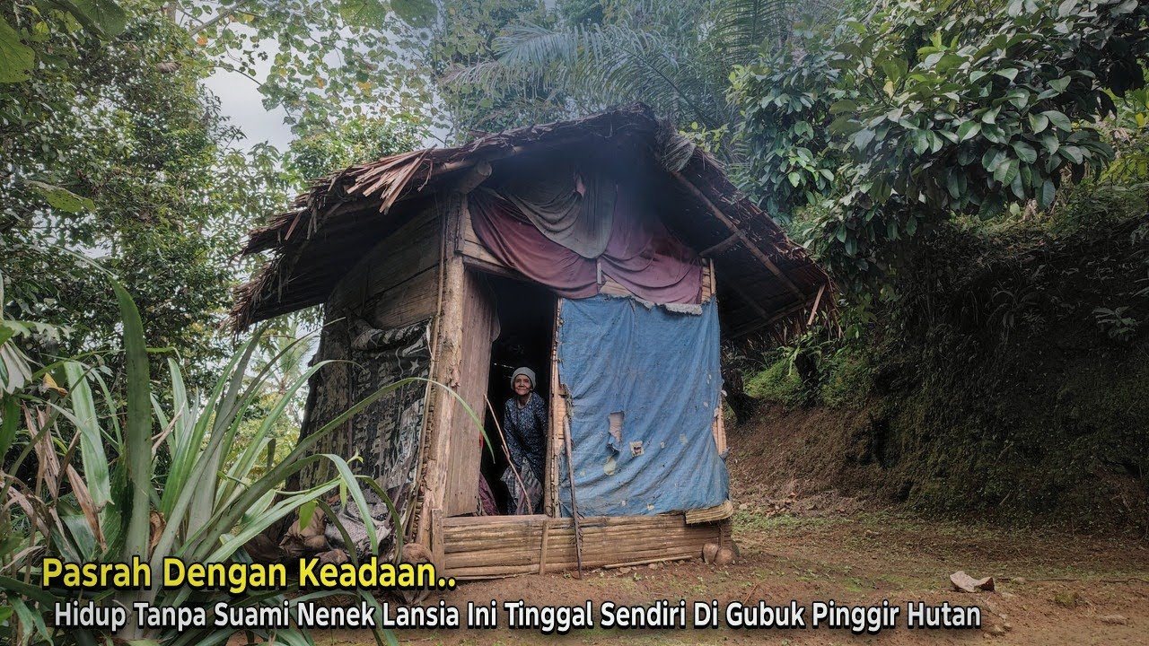 Kaget.. Jumpa Seorang Nenek Lansia Tinggal Menyendiri di Rumah Gubuk Pinggir Hutan