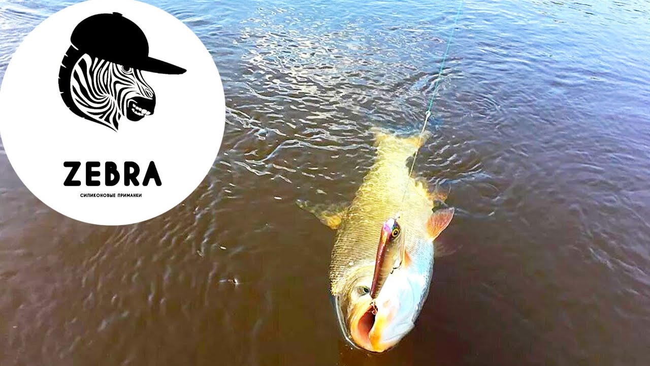 ПОПАЛ НА БЕШЕННЫЙ КЛЕВ ЖЕРЕХА! КЛЕВАЛ НА ЗИМНИЙ РАТЛИН! 