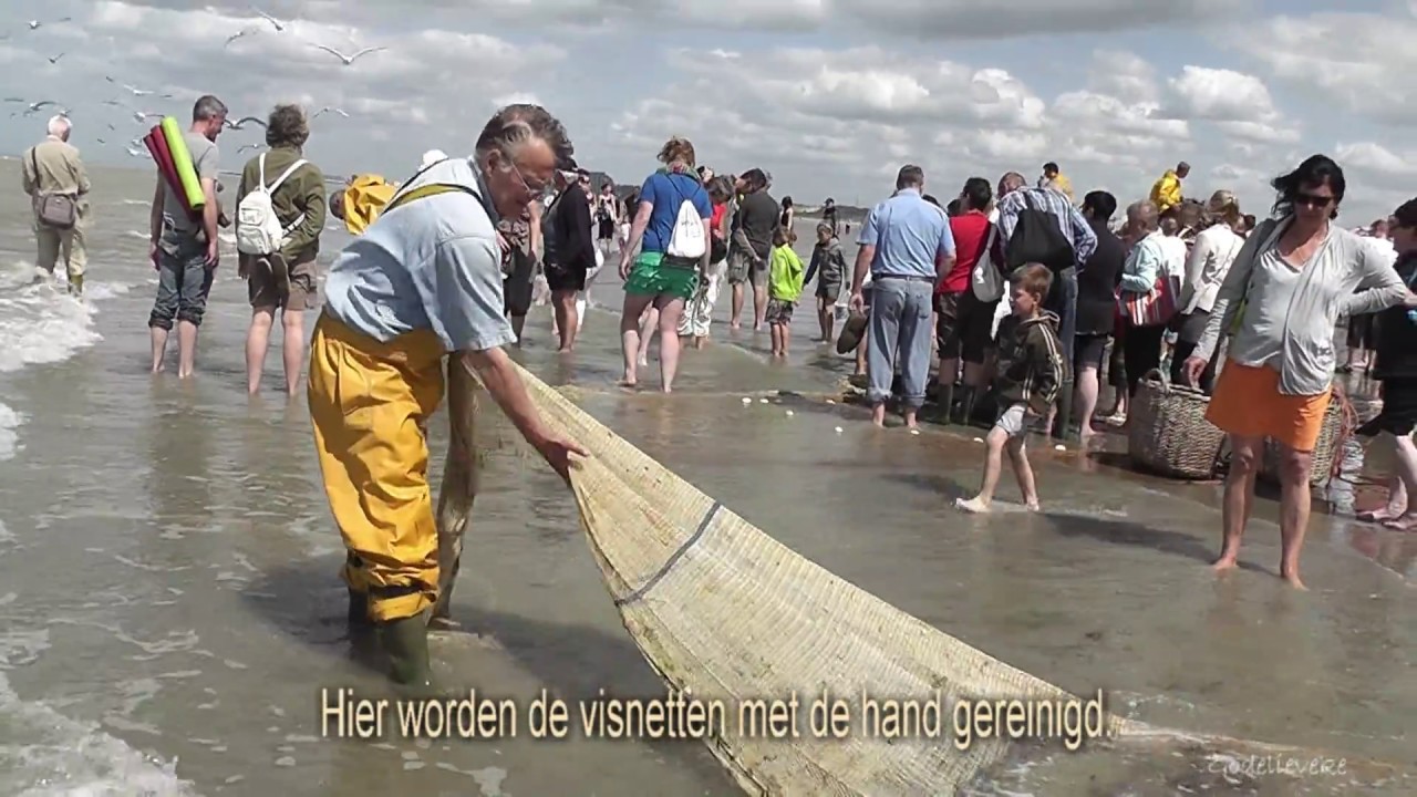 De garnaalvissers met paard Oostduinkerke
