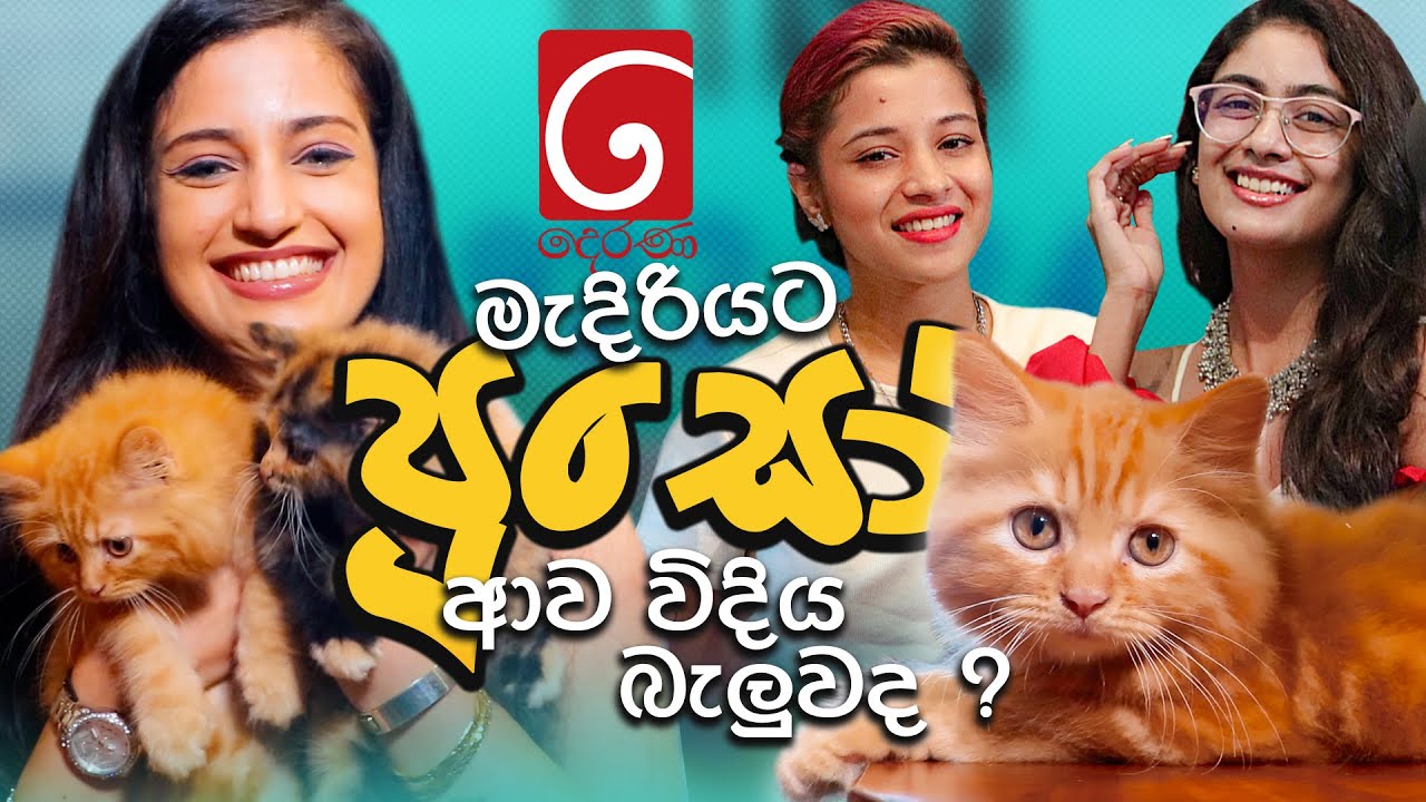 දෙරණ මැදිරියට පූසෝ ආව විදිය බැලුවද  FM Derana | Wageesha Salgado | Hansi Rasanga | Hirushi Jayasena