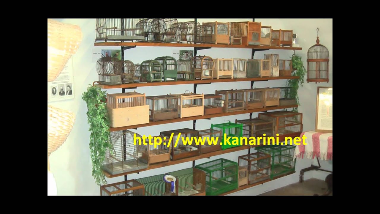 canaries-wooden cages part3