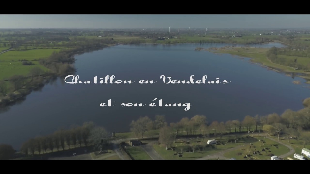 Châtillon en Vendelais et son étang