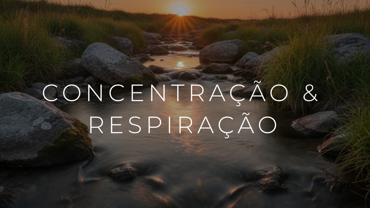 Flat Motion Studio | Vídeos que ajudam a relaxar. Sinta o movimento das águas.