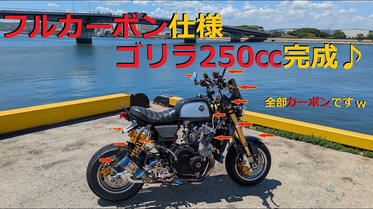 [モトブログ] フルカーボン仕様のゴリラ250㏄爆誕♪