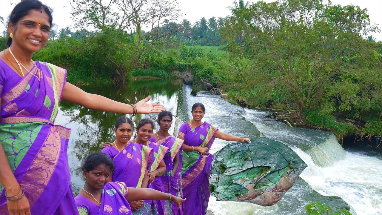 Fish Catching with Amazing Fish Trap | Village Hunt | Full chicken inside this fish trap 🐟