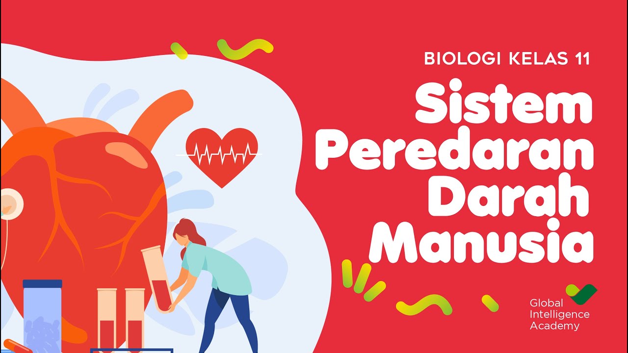 BIOLOGI Kelas 11 - Sistem Peredaran Darah (PART 2) | GIA Academy